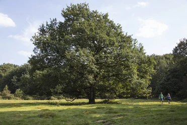 11_Das_Paradies_BorkenerParadies_©_NaturparkMoorVeenland_HolgerLeue.jpg