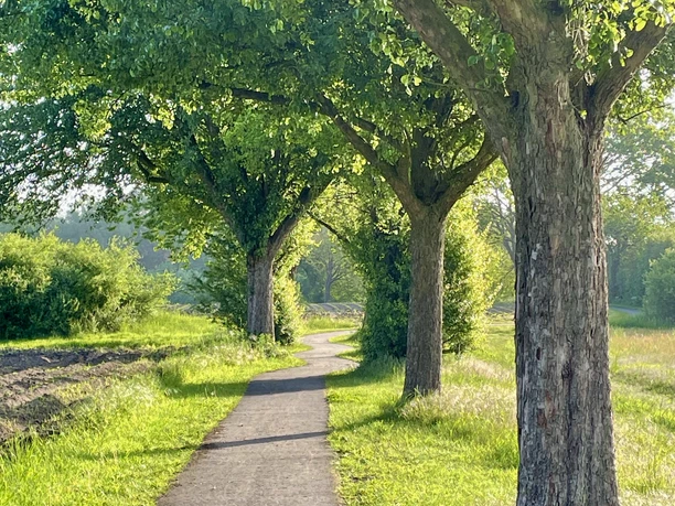 Rundweg Vechtetalhalle Friedhof Kräuterwanderung AS (5).jpeg
