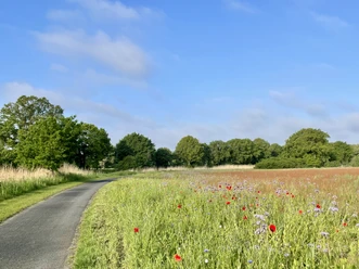 Rundweg Vechtetalhalle Friedhof Kräuterwanderung AS (10).jpeg