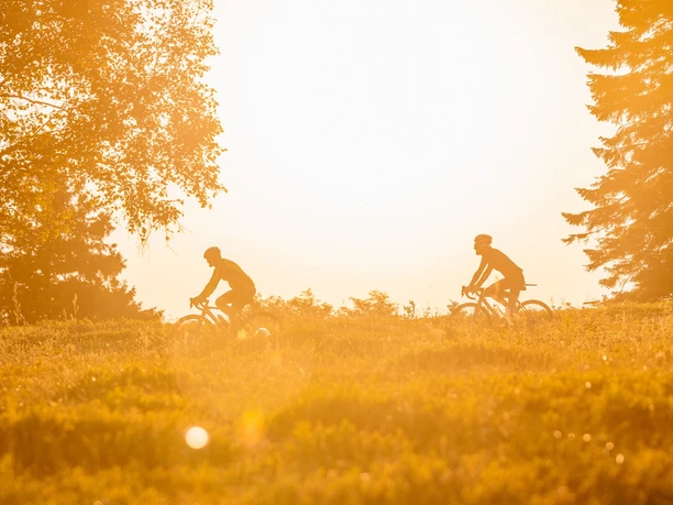 Gravelbike