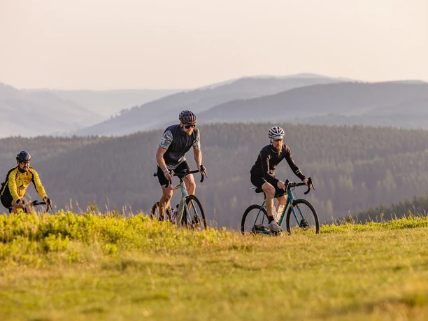 Gravelbike