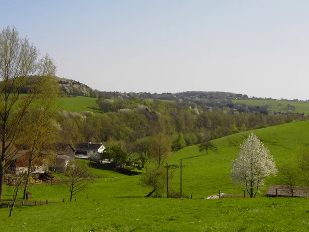 Blick-ins-Hanfbachtal