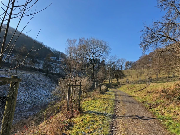 Wiese-Löwenburg