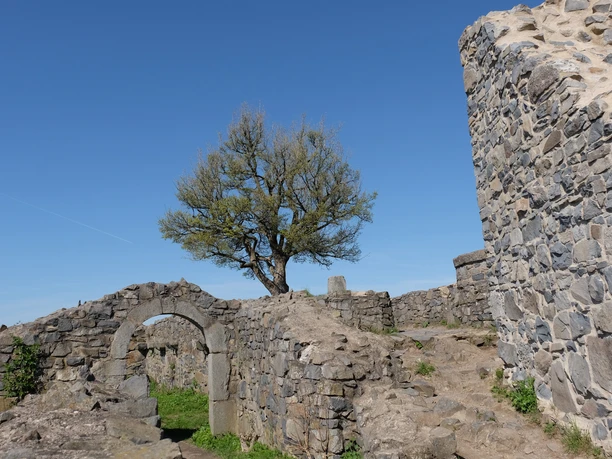 Ruine-Löwenburg