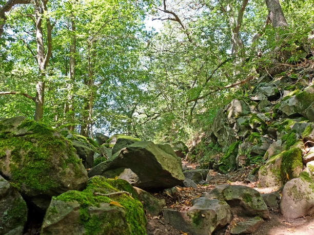 Felsenpfad-Leyberg