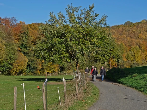 Lauterbachtal