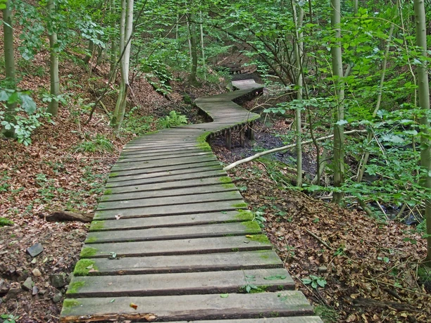 Tretschbachtal-Stege
