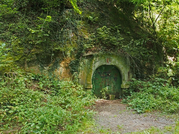 Weinlager-Nachtigallental