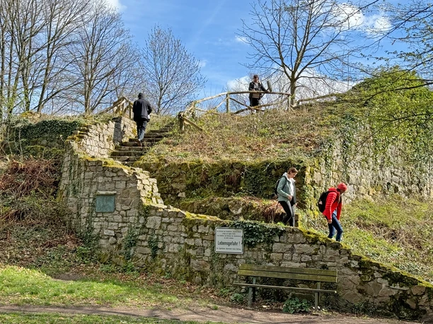 Rosenau