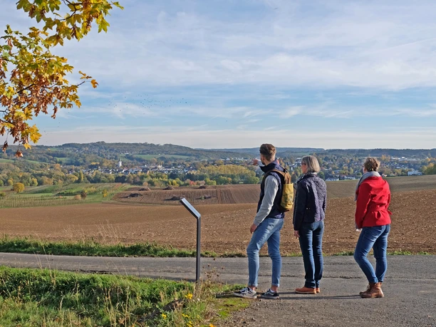 Blick-zum-Huehnerberg Blick-zum-Huehnerberg