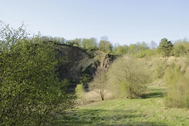 Dächelsberg, Wachtberg
