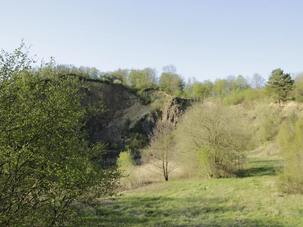 Dächelsberg, Wachtberg