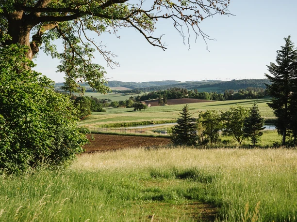 Drachenradweg Syrau Aussicht Schneckengrün