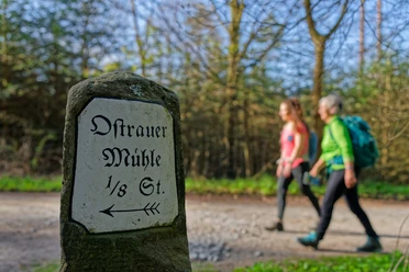 Weg zur Ostrauer Mühle