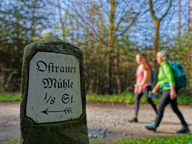 Weg zur Ostrauer Mühle