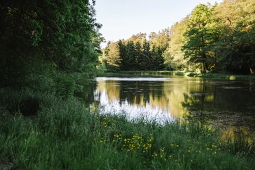 Schlossteich Leubnitz