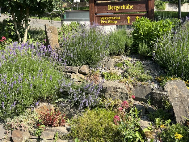 Golf-Club Kürten Holzschild des Golf-Club Kürten e.V. Bergerhöhe zwischen Lavendel und Grün