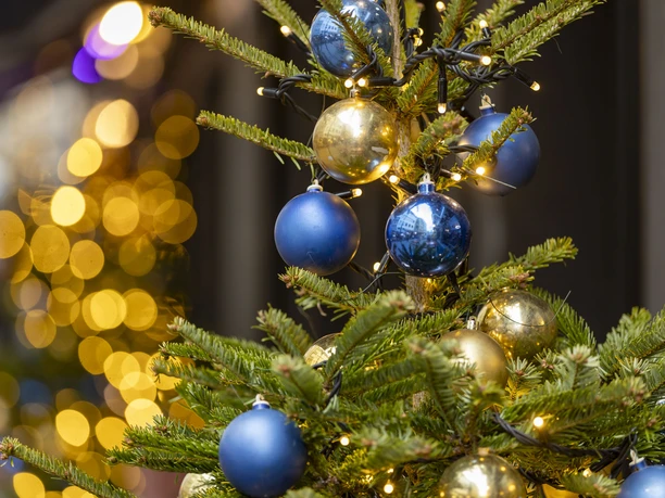 Advent in Cologne A decorated Christmas tree with blue and gold ornaments and warm lights