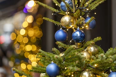Adventszeit in Köln Geschmückter Weihnachtsbaum mit blauen und goldenen Kugeln und warmen Lichtern