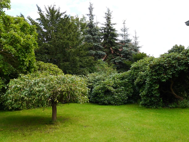 Pakirnis Garten.JPG Garten mit Raden und Bäumen