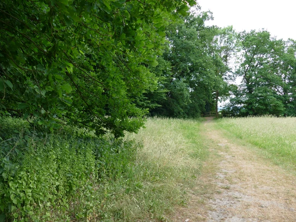 Gelände der Ertheneburg