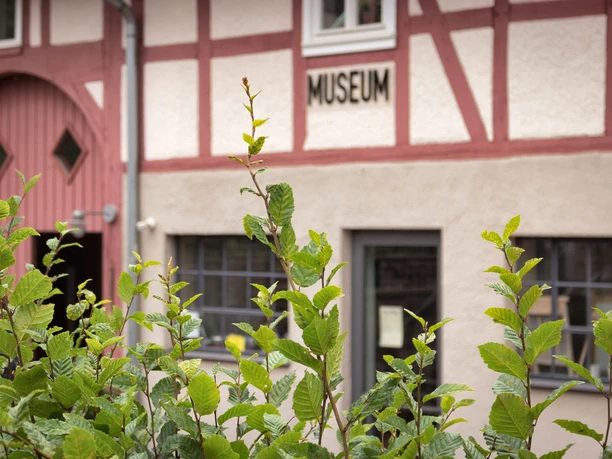Waldecker Spielzeugmuseum
