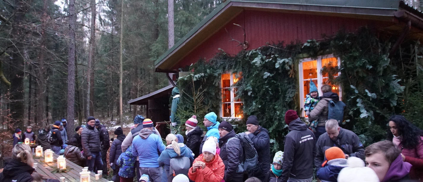 Waldweihnacht Sebnitzer Wald.JPG