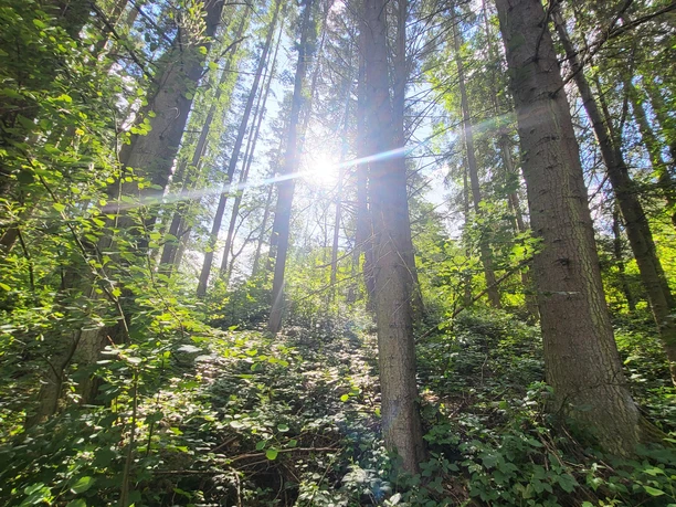 Kurpark