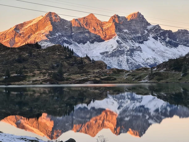 Alpstubli