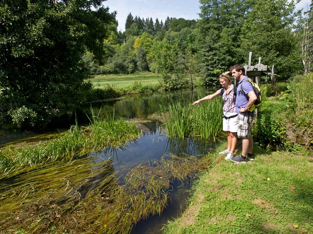 An der Friesenmühle/Schwarzen Laber bei Beratzhausen Zwei Personen am Ufer der Schwarzen Laber nahe Beratzhausen, umgeben von grüner Natur.