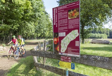 Am Obsterlebnisweg bei Murrenberg Zwei Fahrradfahrer fahren auf dem Obsterlebnisweg vorbei an einem Waldstück und einer eingezäunten Wiese