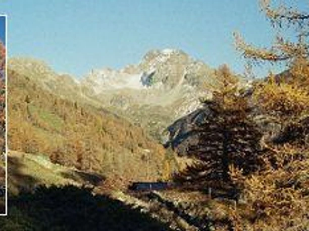 Bettmeralp im Sommer