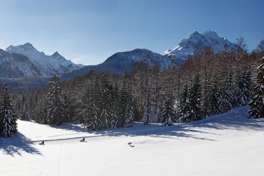 Naturrodelbahn Kranzberg