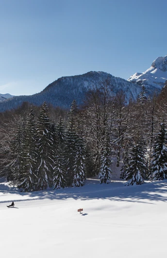 Naturrodelbahn Kranzberg