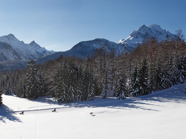Naturrodelbahn Kranzberg