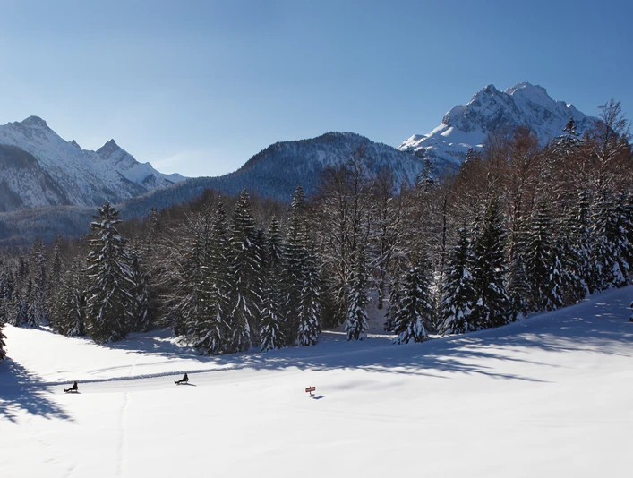 Naturrodelbahn Kranzberg
