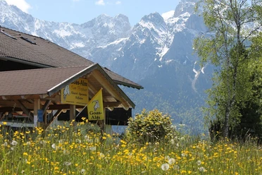 Goas-Alm
