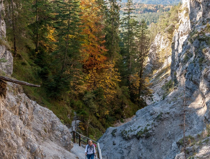 Durch die Hüttlebachklamm