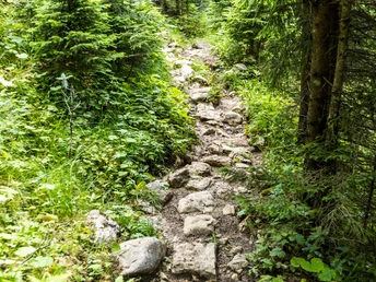 Jägersteig mit Wasserfall
