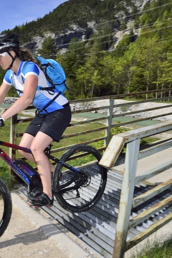 Isarbrücke Riedboden