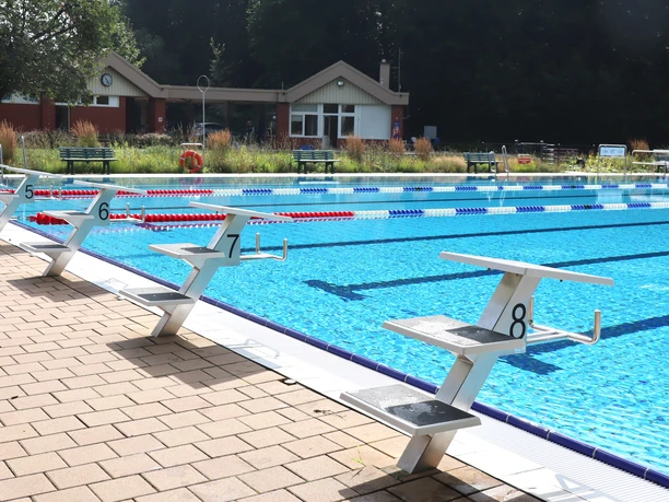 Freibad Hunteholz Barnstorf Sprungbrett.jpg Aufgereihte Startblöcke am Beckenrand des Freibads Hunteholz mit Schwimmbahnen im blauen Wasser.