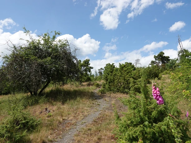 Heide-Route