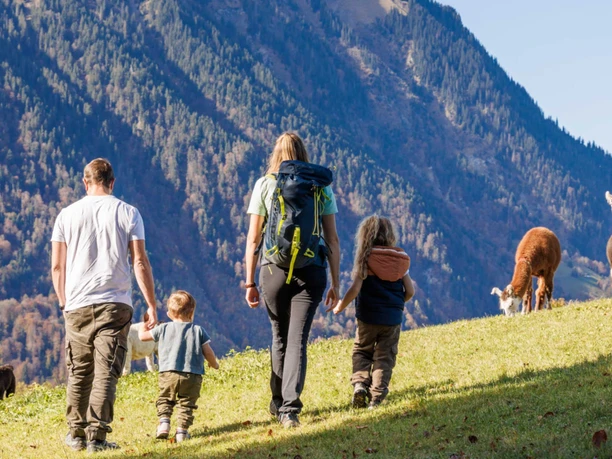 aeschi-trails-familie-unterwegs-alpacas-tiere.jpg