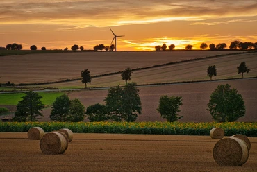 Über die Haar bei Sonnenuntergang