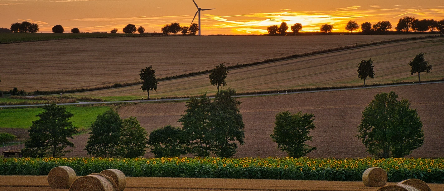 Über die Haar bei Sonnenuntergang
