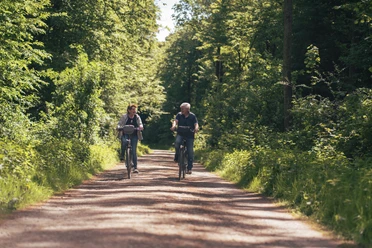 Wald, Eisenbahn und Burgen_Hinnerk Schröer.jpg