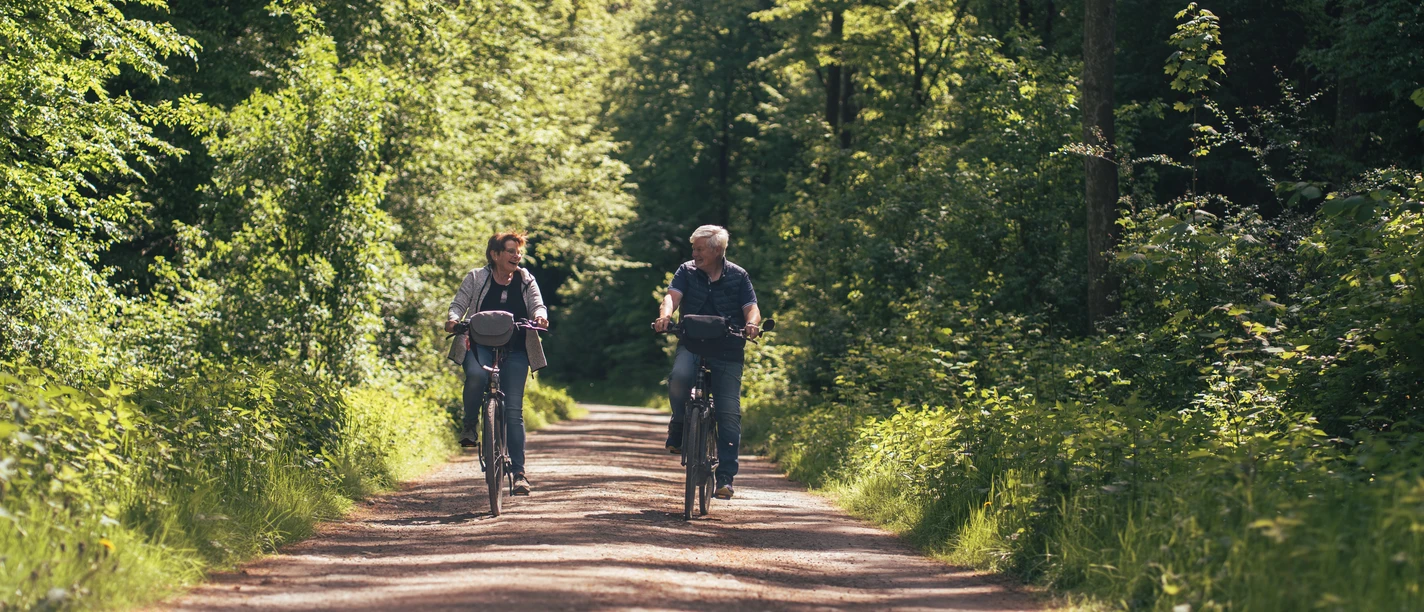 Wald, Eisenbahn und Burgen_Hinnerk Schröer.jpg