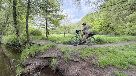 E-Bike-Tour entlang eines Waldbachs.jpg Eine Person fährt mit dem E-Bike auf einem Weg durch den Wald an einem Bach entlang.
