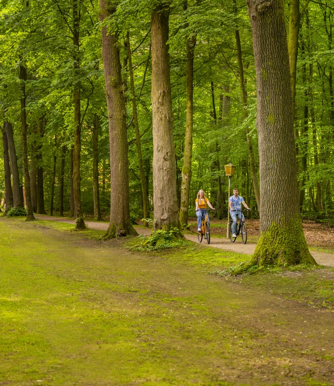 Allee bei Schloss Clemenswerth, Sögel – Radfahren Hümmling ©Emsland Tourismus GmbH.jpg