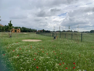 Kuhlandia Abenteuerspielplatz Stemwede Wildblumenwiese mit rotem Mohn, Sandfläche und Spielburg im Abenteuerspielplatz Kuhlandia